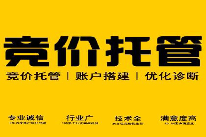 SEM代理助力品牌：案例解析与优化策略